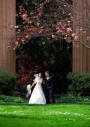 San Francisco Palace of Fine Arts Wedding Photography Pillars