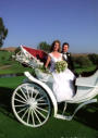 Milpitas Summitpointe Golf Course Wedding Photography - Horse & Carriage