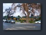 San Jose Funeral Videography Oak Hill Chapel of Oaks Entrance