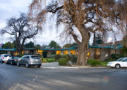 San Jose Funeral Videography Oak Hill Chapel of Oaks Entrance