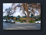 San Jose Funeral Videography Oak Hill Chapel of Oaks Entrance